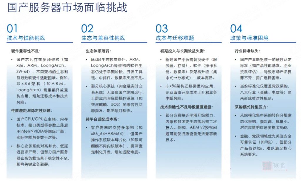 国产服务器市场面临挑战
